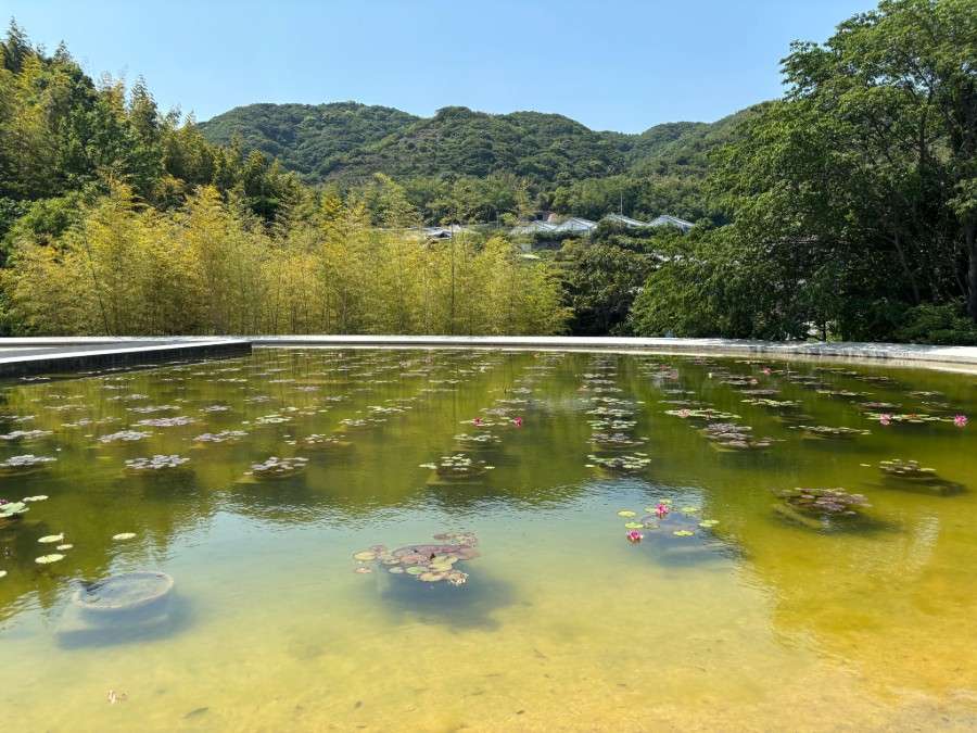 Awaji Island Honpukuji Temple by Tadao Ando