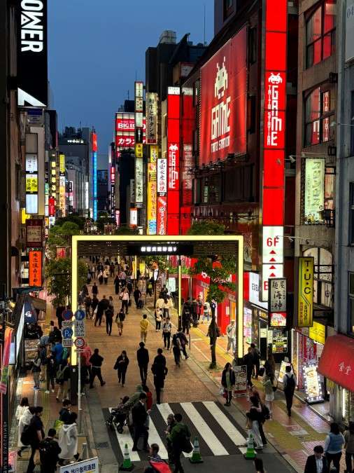 2026 Japan art travel group in Ginza
